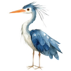 Obraz premium A watercolor heron bird on transparent background