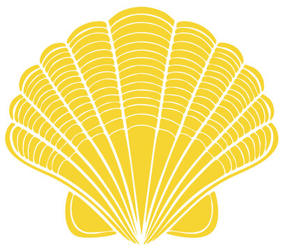 Yellow scallop shell graphic illustration with decorative white lines