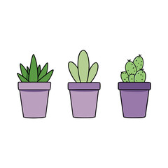 Obraz premium Assortment of potted succulents and cacti vector illustration for decorative designs