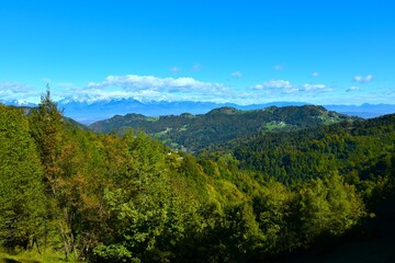 Forest covered hills in Slovene prealps and mountains Grintovec and Skuta in Gorenjska, Slovenia
