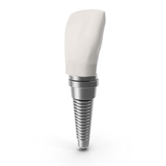 Human tooth 3D model