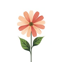 single orange gerbera flower isolated on white background