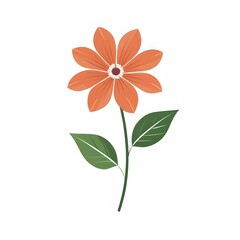 vector orange flower isolated on white background