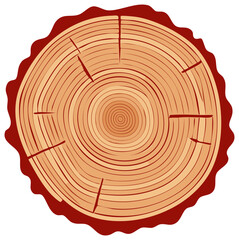 Fototapeta premium Detailed illustration of a tree trunk cross section showcasing natural wood grain and annual growth rings
