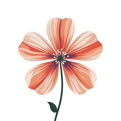 beautiful orange  hibiscus flower