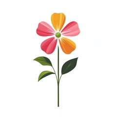 orange flower isolated on white