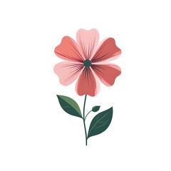 pink hibiscus flower