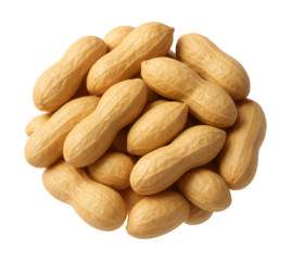 Shelled peanuts, ideal for wire mesh feeders to attract jays and larger birds.