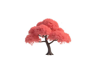 Japanese tree 3D transparent background