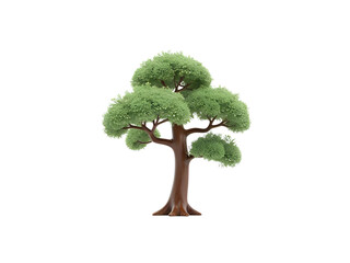 Japanese tree 3D transparent background