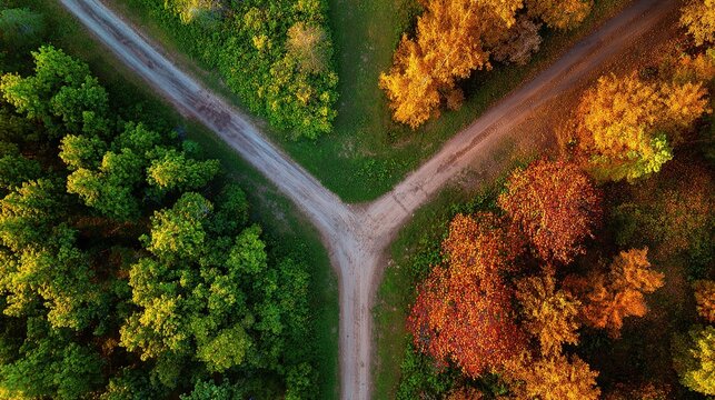 direction. Forked country road through autumn forest during golden hour, symbolizing choices and journeys. representing seasonal cycles and harvest abundance.