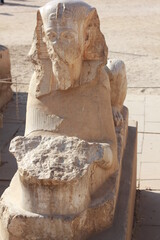 Ancient Egyptian sphinx statue with half damaged face