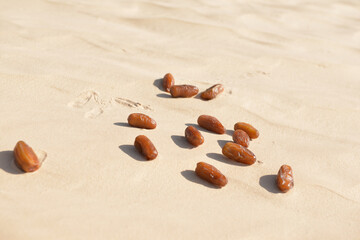 Tunisian dates scattered on golden desert sand with palm trees in the background, illustrating natural sweetness, oasis life, and the traditional beauty of date farming in North Africa