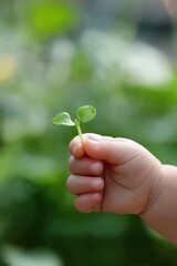 Small child's hand gently holding a tiny green sprout: symbol of life and protection
