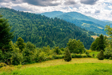 Fototapeta premium rural mountain in summer. field on the hill with cloudy sky. beautiful view of a rolling countryside landscape of ukraine. green grass and lush forest. nature scenery in dramatic weather