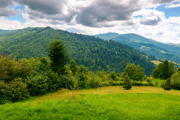Fototapeta premium rural mountain in summer. field on the hill with cloudy sky. beautiful view of a rolling countryside landscape of ukraine. green grass and lush forest. nature scenery in dramatic weather