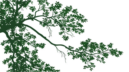 Tree Branches with Lush Green Leaves Nature Illustration Botanical Design Foliage Silhouette Canopy Detail Green Leaves White Background Vector Illustration Graphic Design Element Spring.