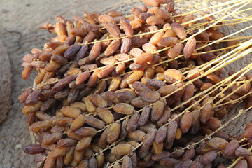 Fresh bunches of Tunisian dates displayed on a traditional woven straw mat, captured in warm daylight. The image reflects the authentic atmosphere of North African palm