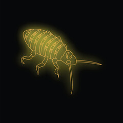 Neon cockroach is glowing on a black background