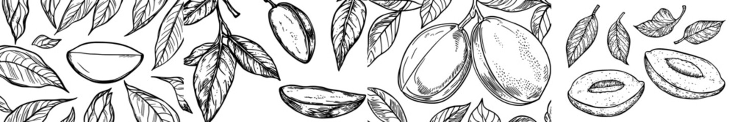 A seamless pattern of mangoes, featuring hand-drawn doodles of gourmet sweet mangoes, forms a modern background illustration
