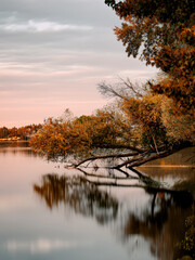 Ufer am See im Herbst