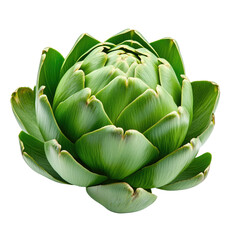 Fototapeta premium Fresh green artichoke isolated on white or transparent background