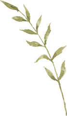 Green Leaf Watercolor illustration for card website, application, printing, document, poster design, etc.