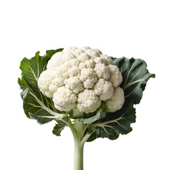 Whole Head of Fresh Cauliflower with Green Leaves and Stem on a transparent background PNG  