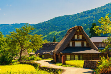 合掌造り集落の秋【富山県五箇山】
