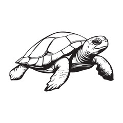 Cute turtle vector illustration in cartoon style, featuring a reptile with a distinctive shell, bright green color, and an adorable expression.
