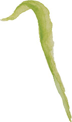 Green Leaf Watercolor illustration for card website, application, printing, document, poster design, etc.