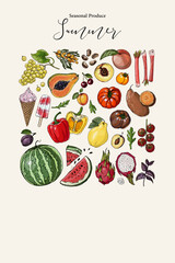 Vector poster with colorful hand drawn illustrations of seasonal summer produce: cherry, bell pepper, peach, chard, tomato, plum, cauliflower, watermelon, grapes, romaine lettuce, broad beans, and yam