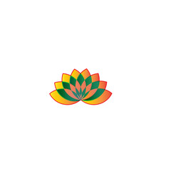 colorful flower on white background