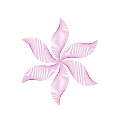 pink lily flower