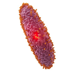 virus, bacteria, microbe close-up on a transparent background