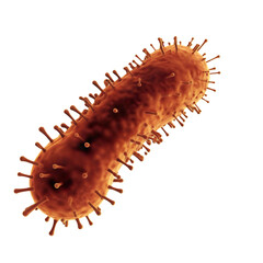 virus, bacteria, microbe close-up on a transparent background