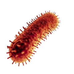 virus, bacteria, microbe close-up on a transparent background