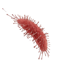 virus, bacteria, microbe close-up on a transparent background