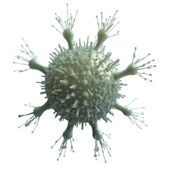 virus, bacteria, microbe close-up on a transparent background