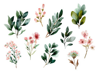Watercolor set of floral elements. Green branches with leaves and pink flowers. Watercolor botanical clipart for wedding and romantic designs. Vector illustration.