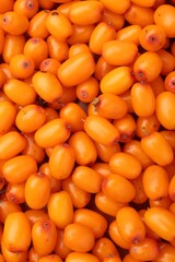 Fresh sea buckthorn berries as background, top view