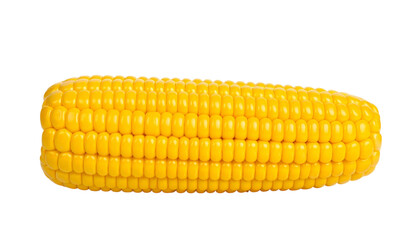 Yellow corn on the cob isolated on transparent background