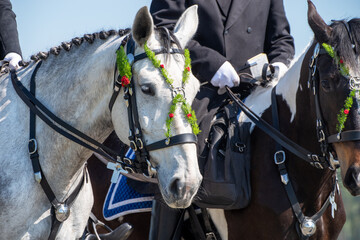 Traditionelles Osterreiten in der Lausitz: geschm&uuml;ckte Pferde mit Blumenschmuck und Reiter in festlicher Kleidung &ndash; sorbisches Brauchtum in Sachsen