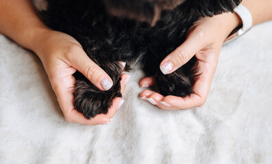 Tender moment of an owner and their dog hugging and caring for a pet in a comfortable home environment.