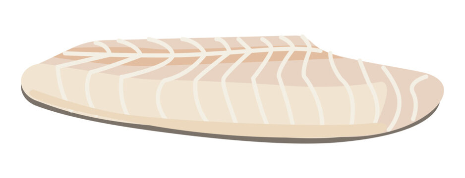 White fish fillet vector with smooth texture, minimal style illustration for healthy food and seafood menu design.