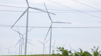 Whirling giants serenade zephyrs, celebrating global Wind Energy Day with their harmonious...