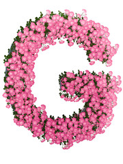 Floral decorative alpabet letter pink rose flower 3d symbol