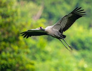 Majestic grey bird soaring through lush green environment