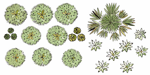 Collection of hand drawn top view plants and trees for landscape design and architectural visualization