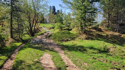 Mushkpuri track hiking in the mountains in Nathia gali, Pakistan